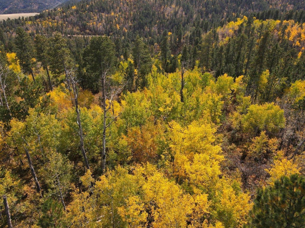 TBD Morning Star Road