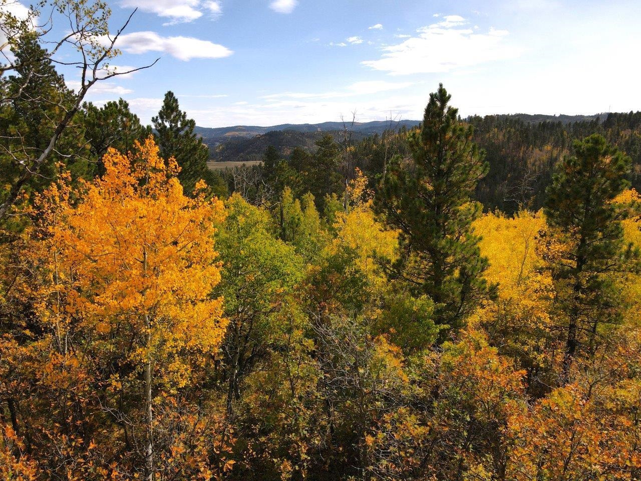 TBD Morning Star Road