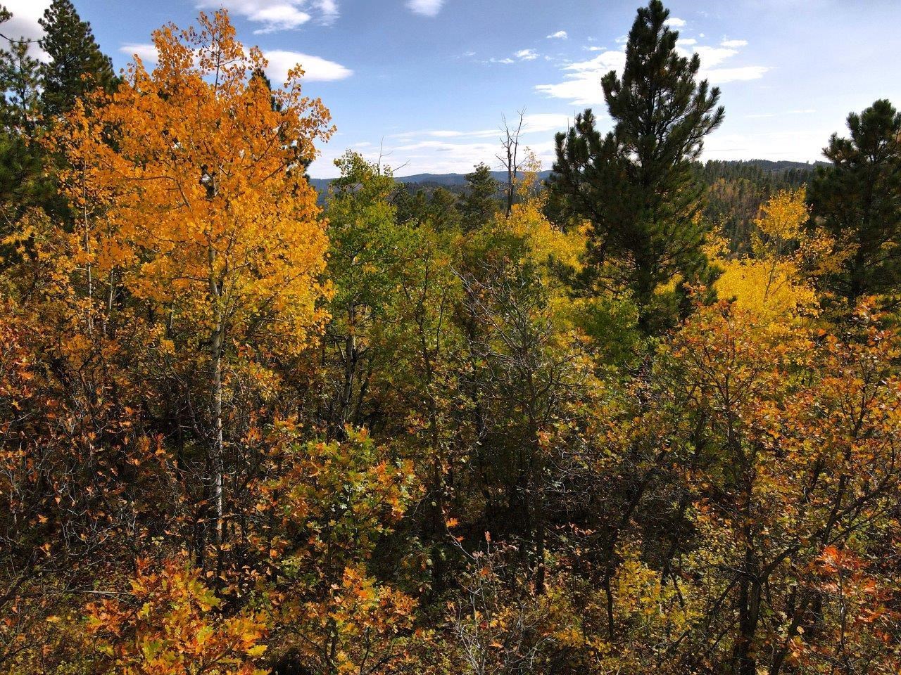 TBD Morning Star Road