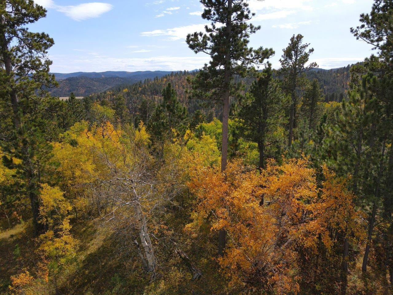 TBD Morning Star Road