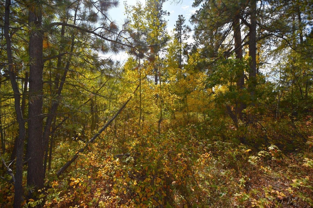 TBD Morning Star Road