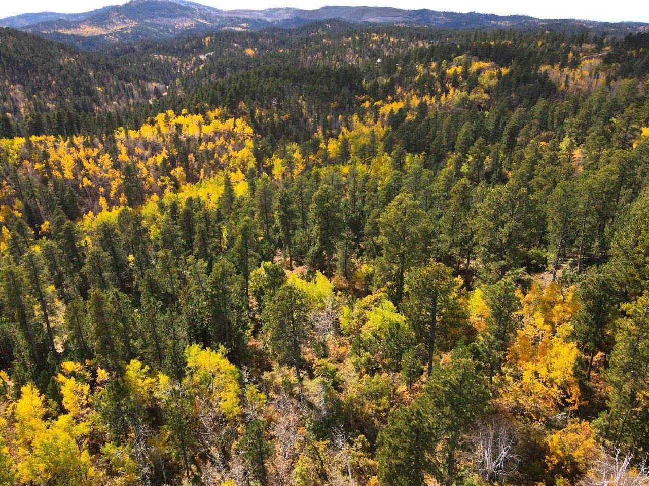 TBD Morning Star Road