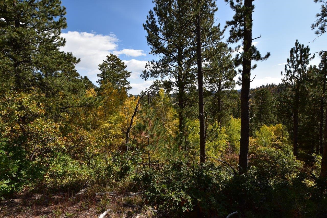 TBD Morning Star Road