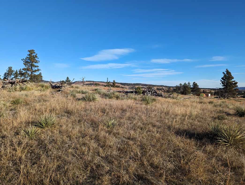 tbd Black Hills Flyway Road