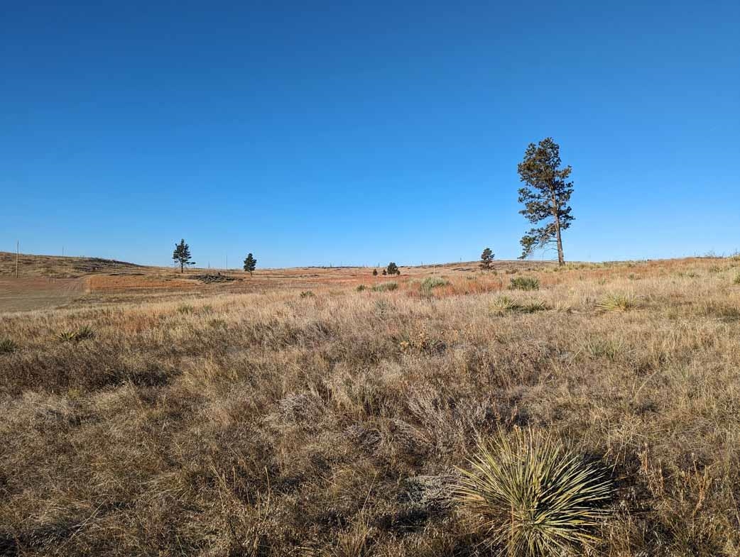 tbd Black Hills Flyway Road