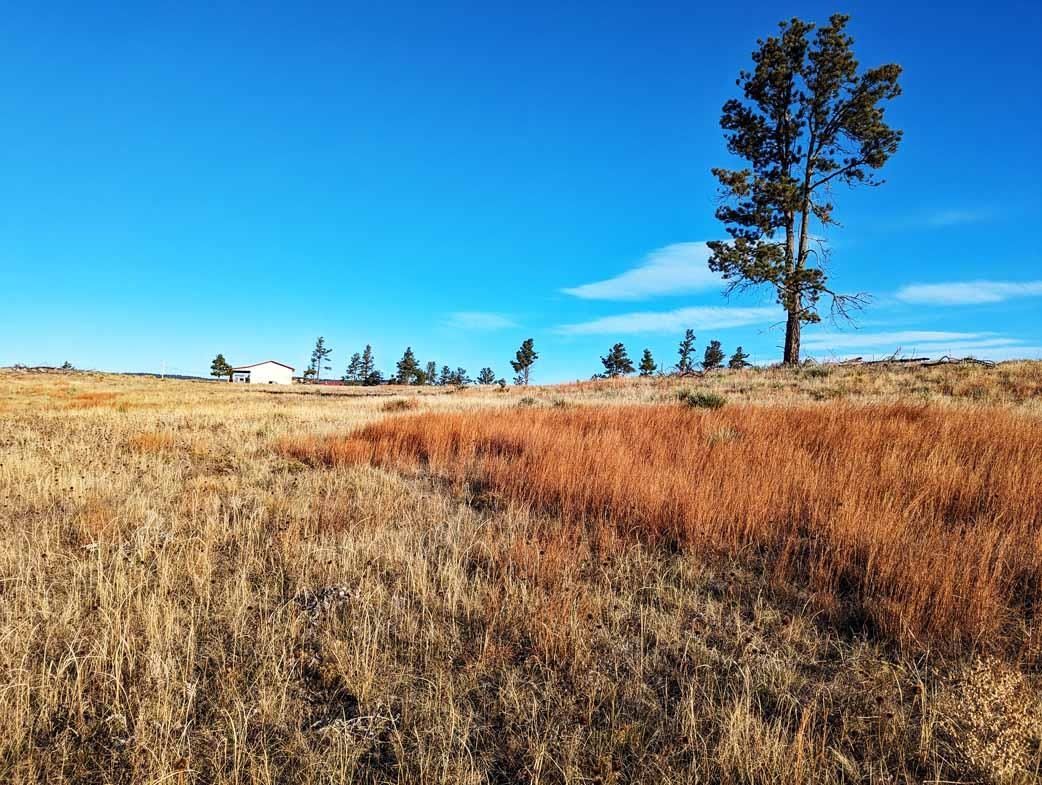 tbd Black Hills Flyway Road