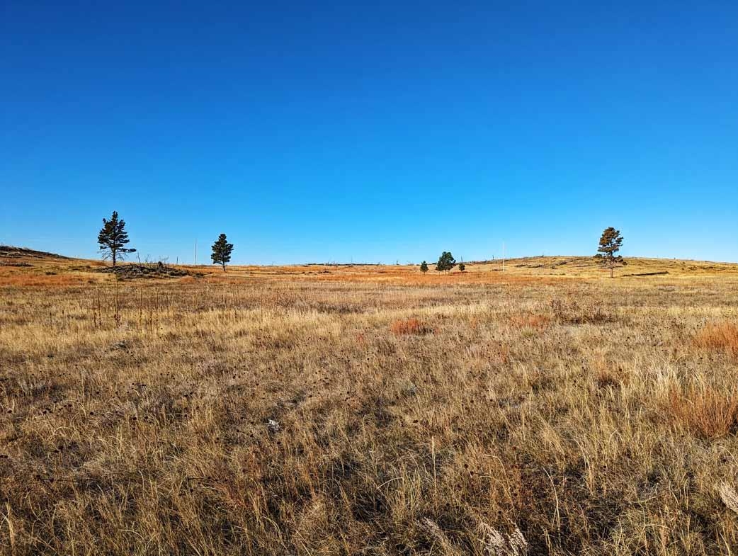 tbd Black Hills Flyway Road