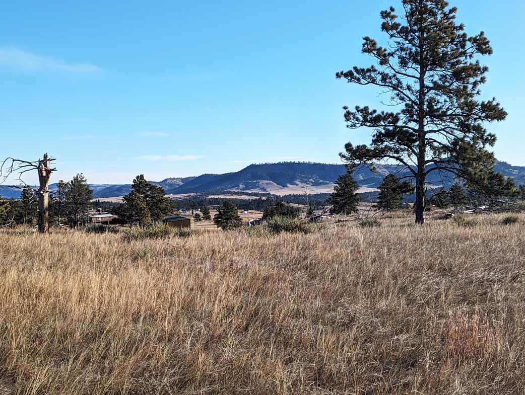 tbd Black Hills Flyway Road