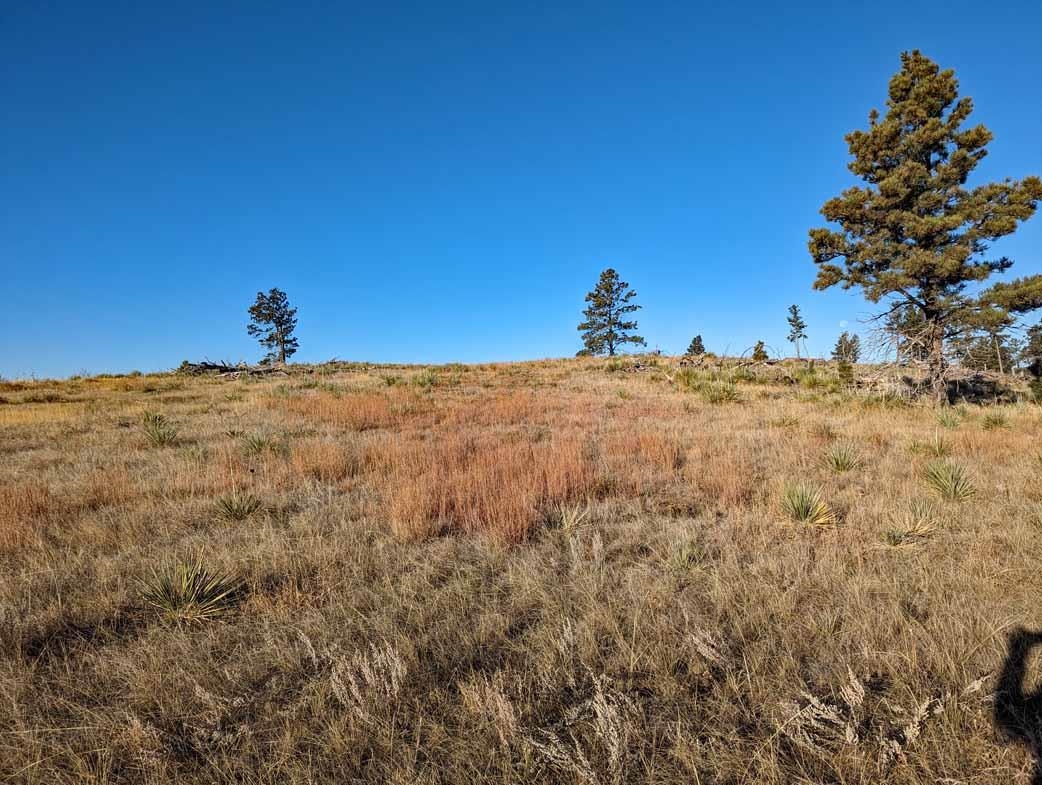 tbd Black Hills Flyway Road