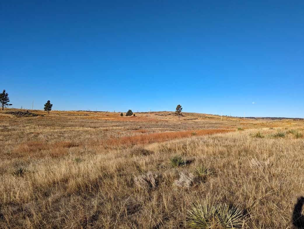tbd Black Hills Flyway Road