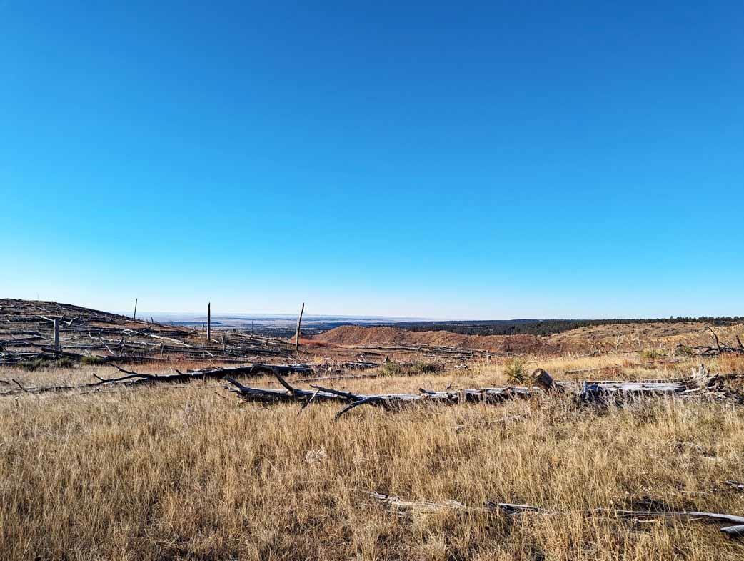 tbd Black Hills Flyway Road