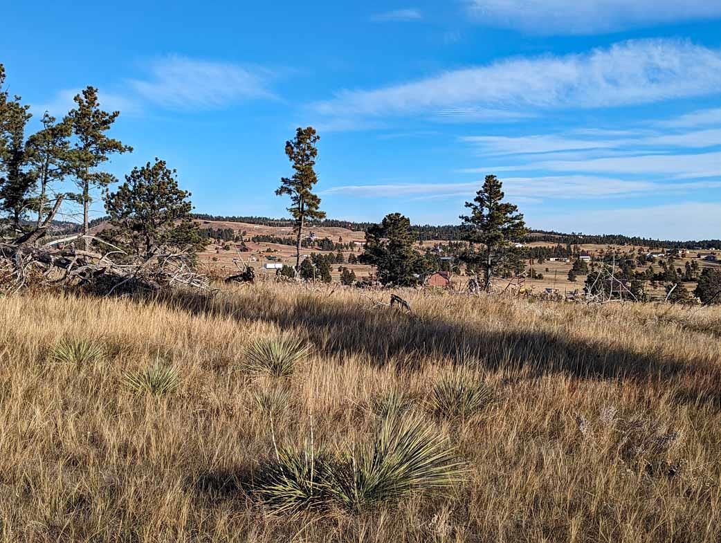 tbd Black Hills Flyway Road