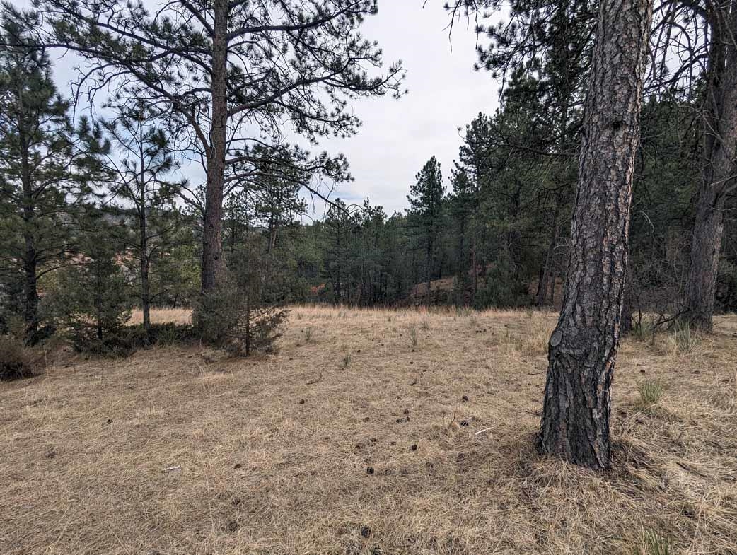 TBD Hot Brook Canyon Road