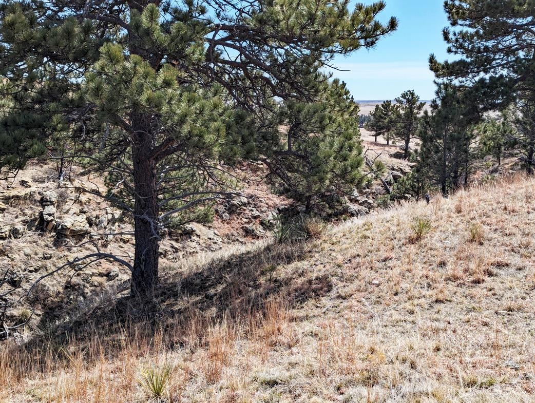 12090 Rocky Ford Road