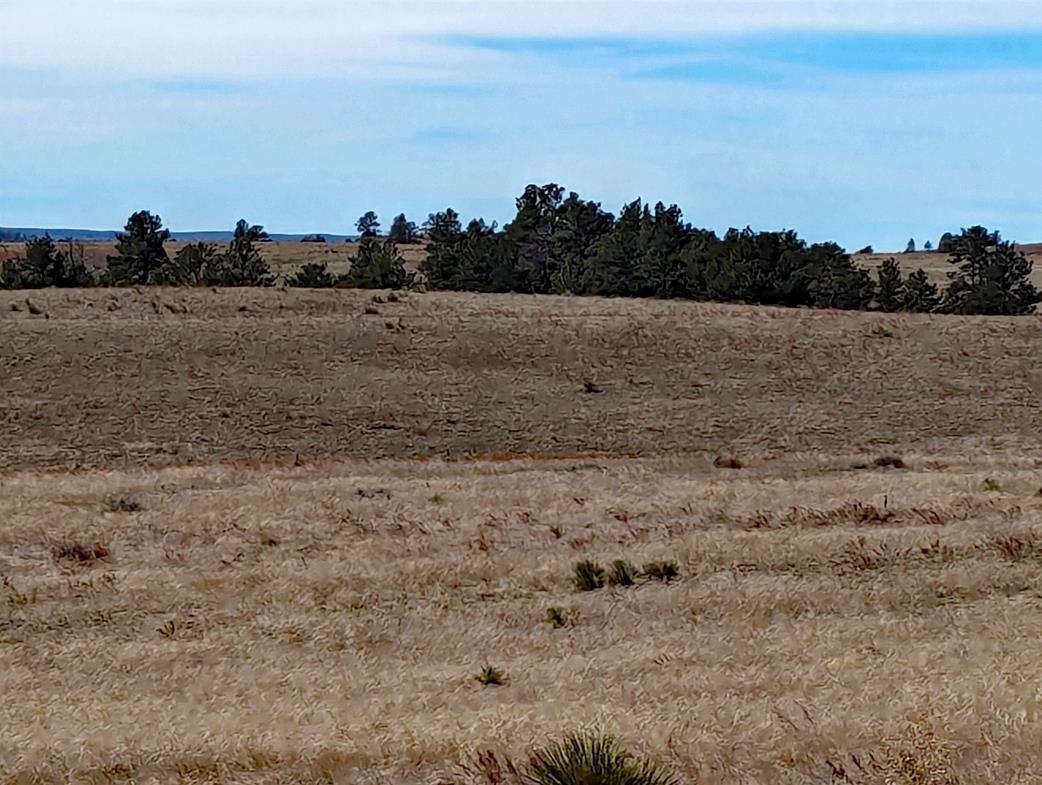 12090 Rocky Ford Road