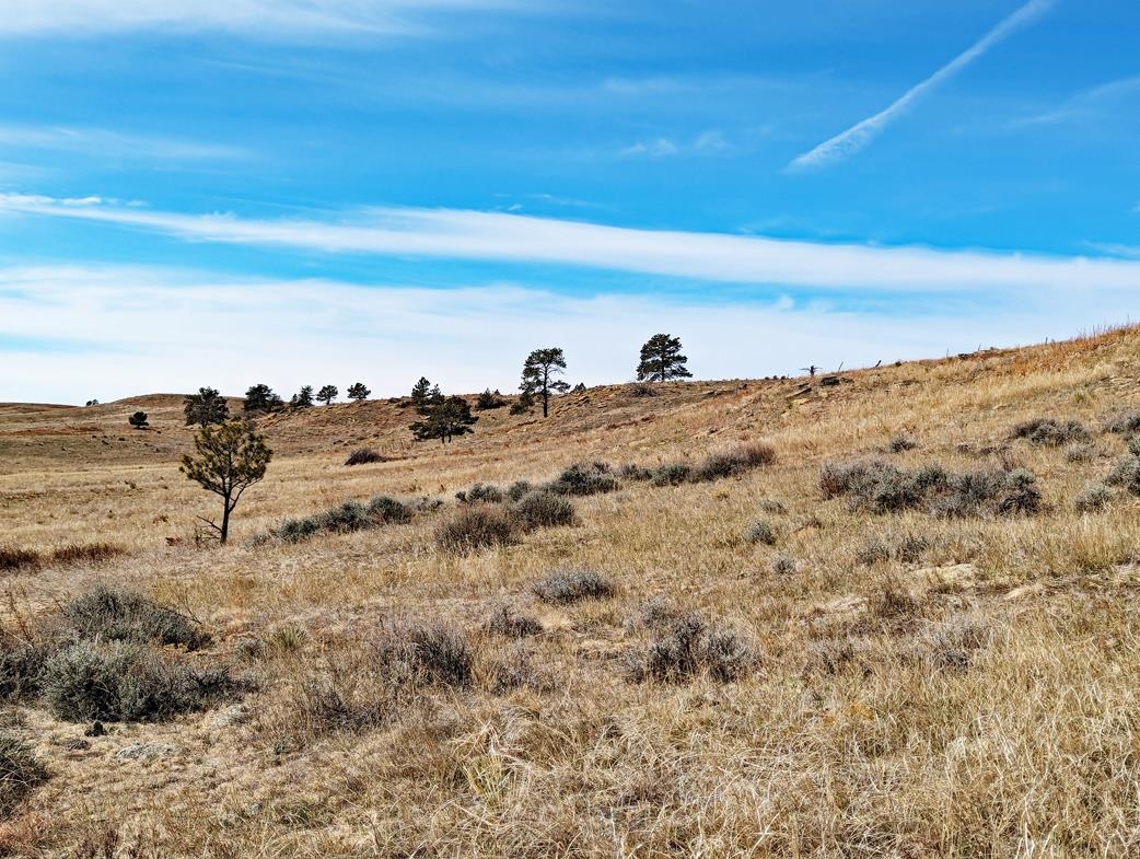 12090 Rocky Ford Road