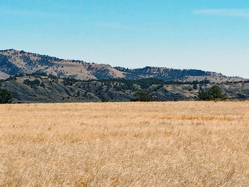 12090 Rocky Ford Road