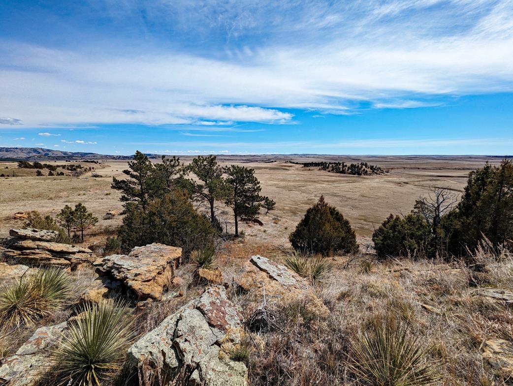 12090 Rocky Ford Road