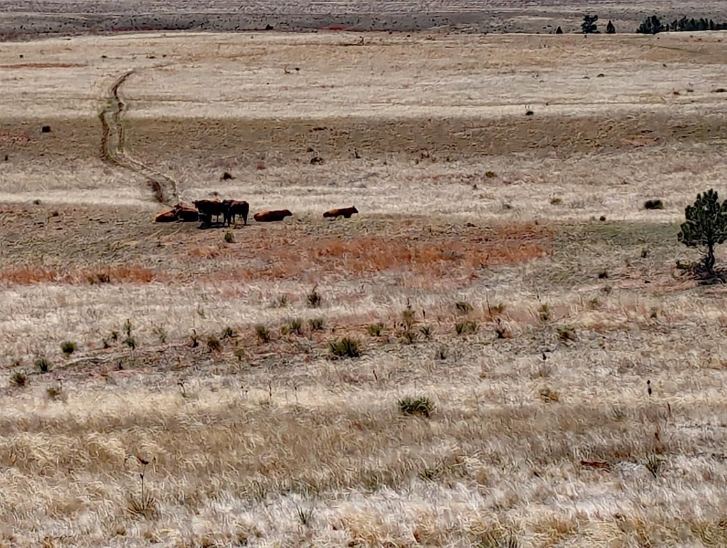 12090 Rocky Ford Road