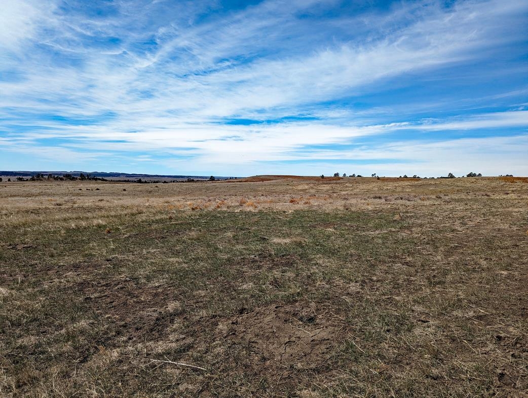 12090 Rocky Ford Road