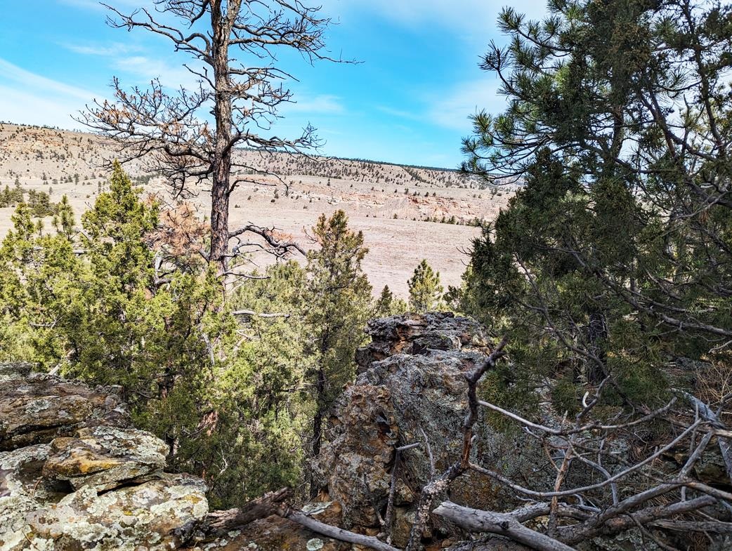 12090 Rocky Ford Road