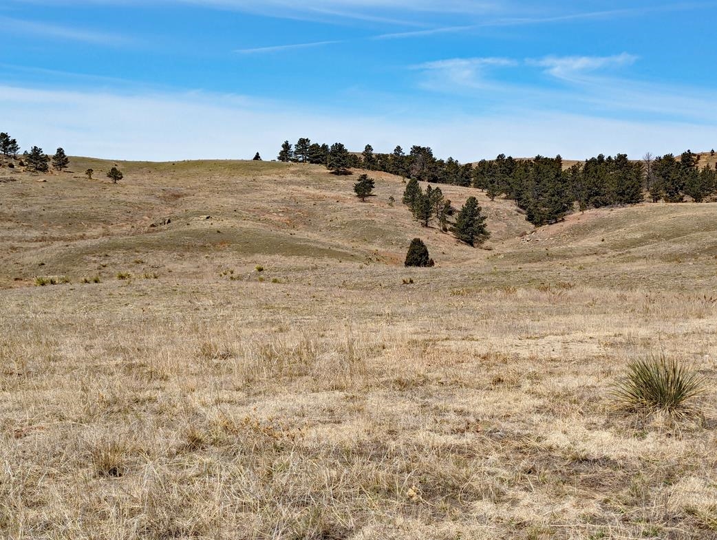 12090 Rocky Ford Road