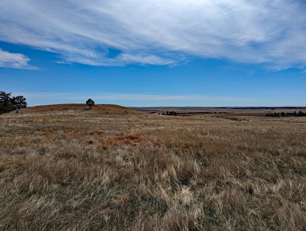 12090 Rocky Ford Road