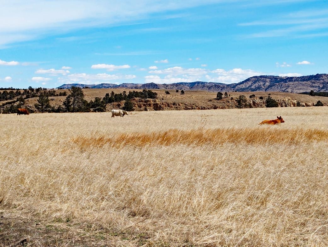 12090 Rocky Ford Road