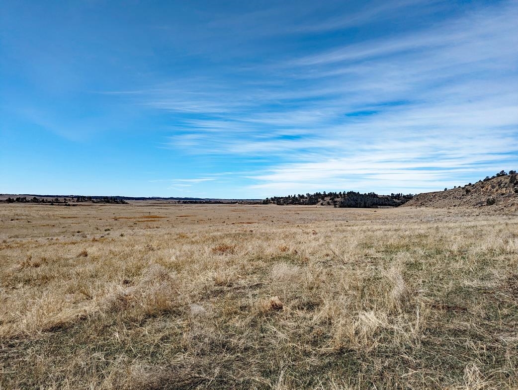 12090 Rocky Ford Road