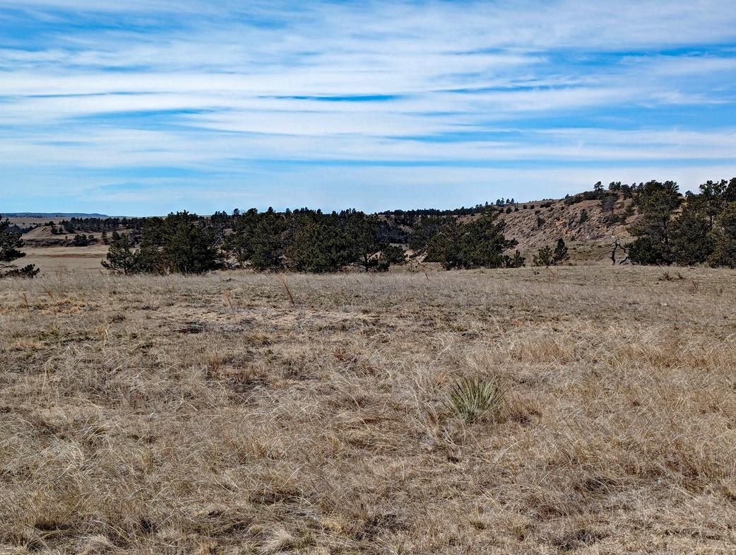 12090 Rocky Ford Road