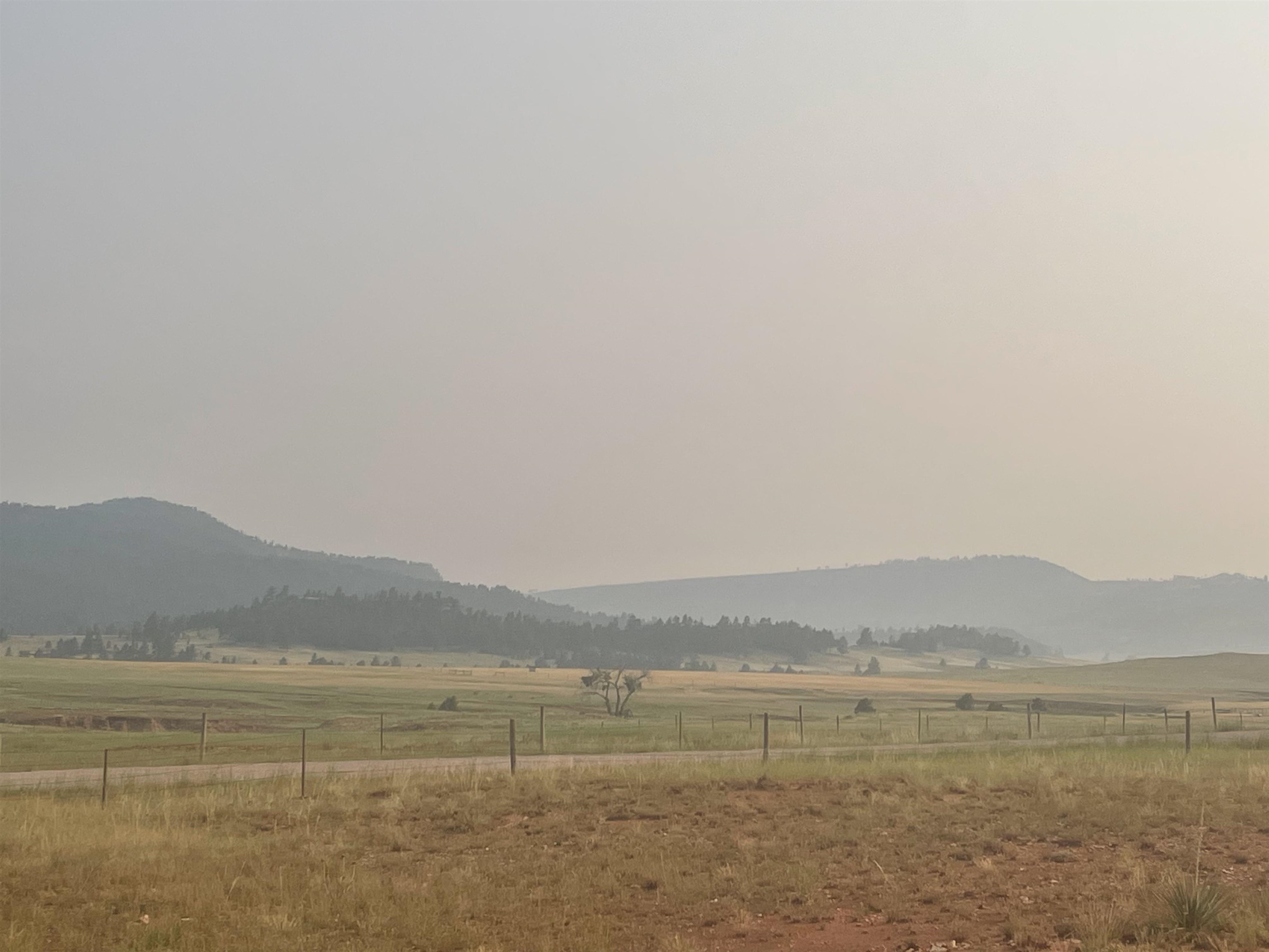 TBD Pilger Mountain Road