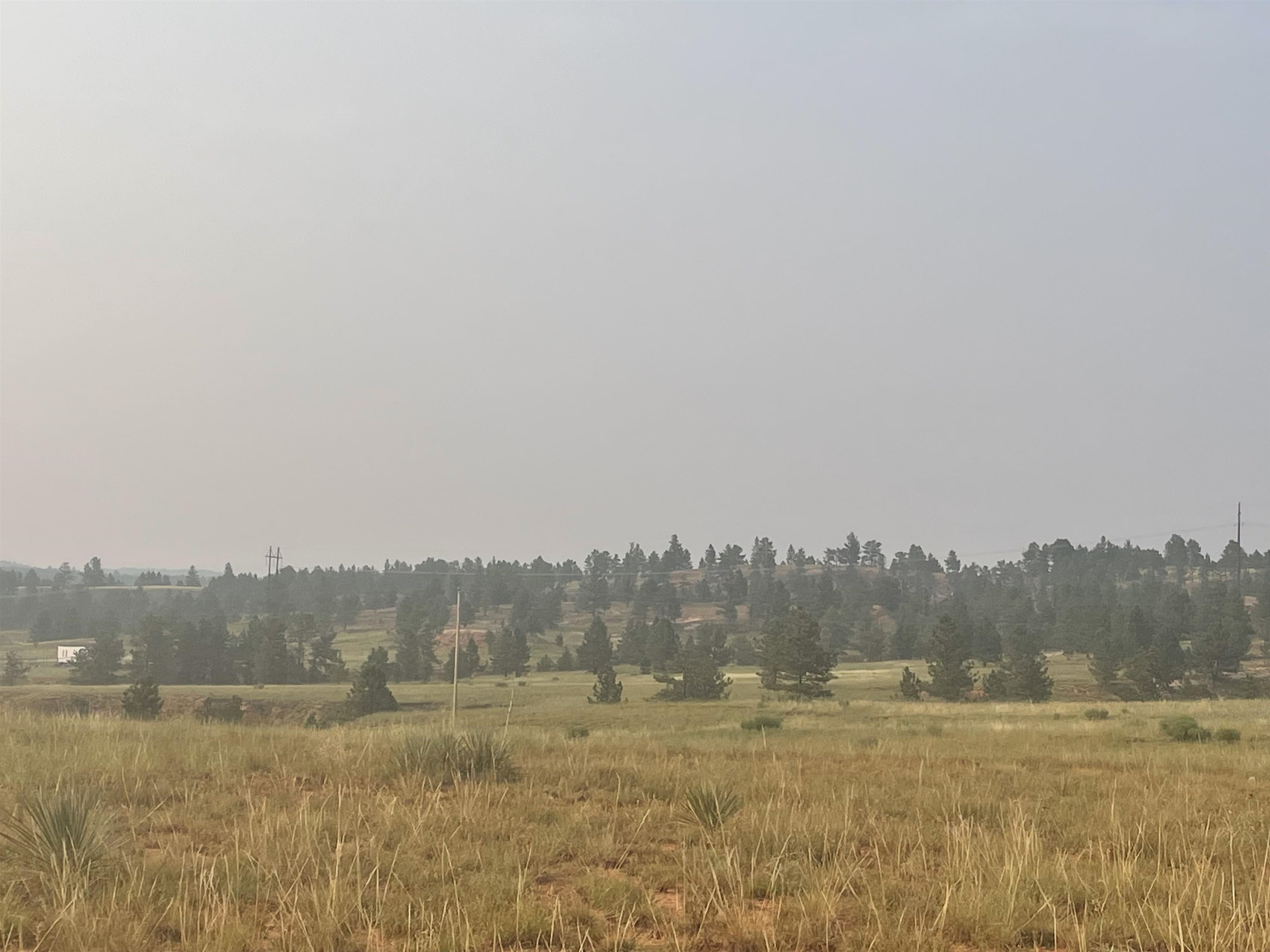 TBD Pilger Mountain Road