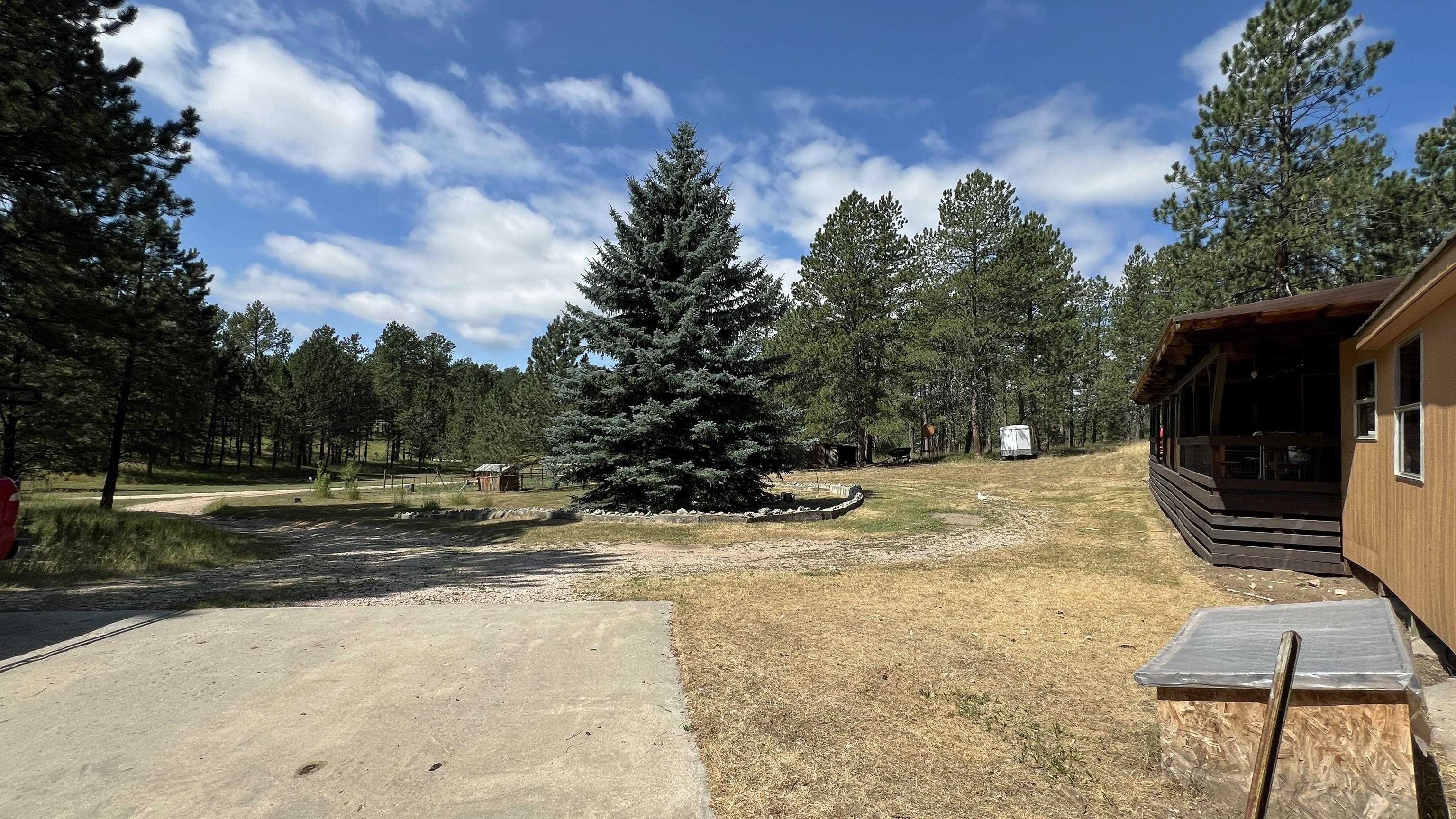 12210 Tweety Bird Lane