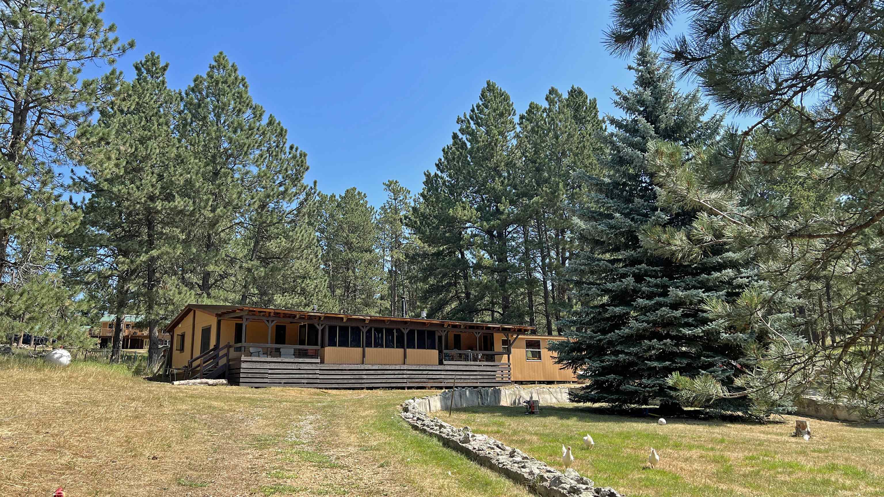 12210 Tweety Bird Lane