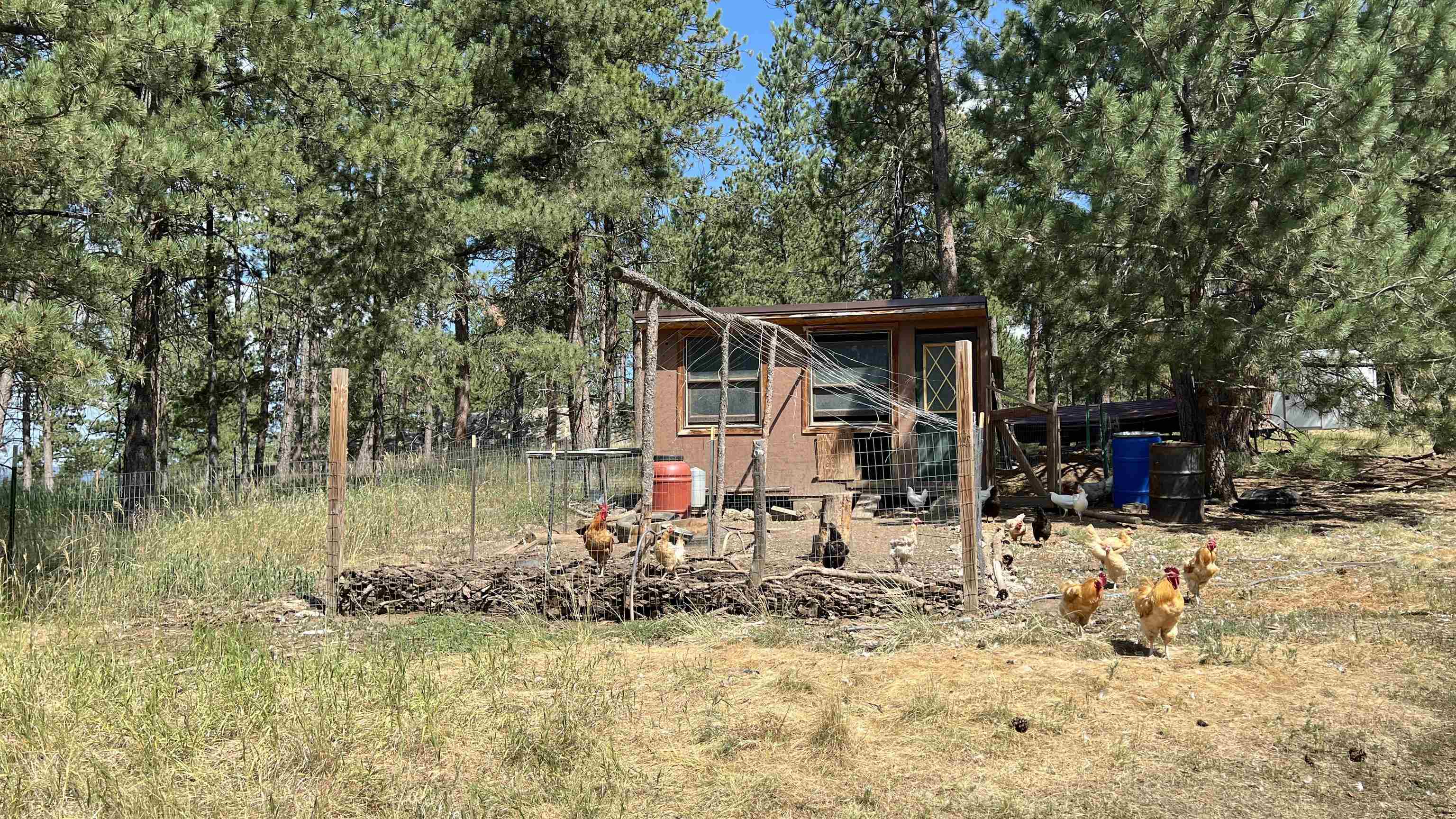 12210 Tweety Bird Lane