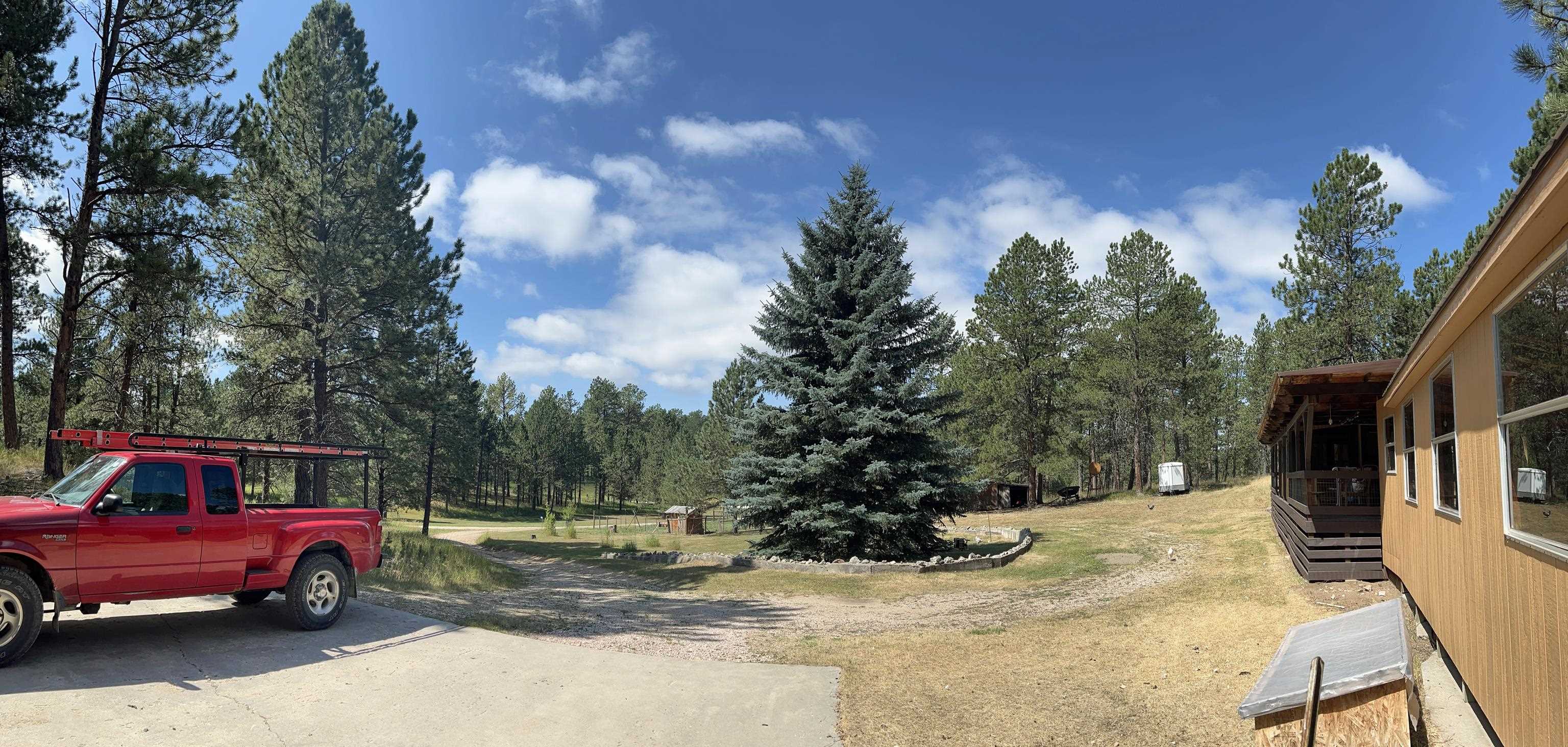 12210 Tweety Bird Lane