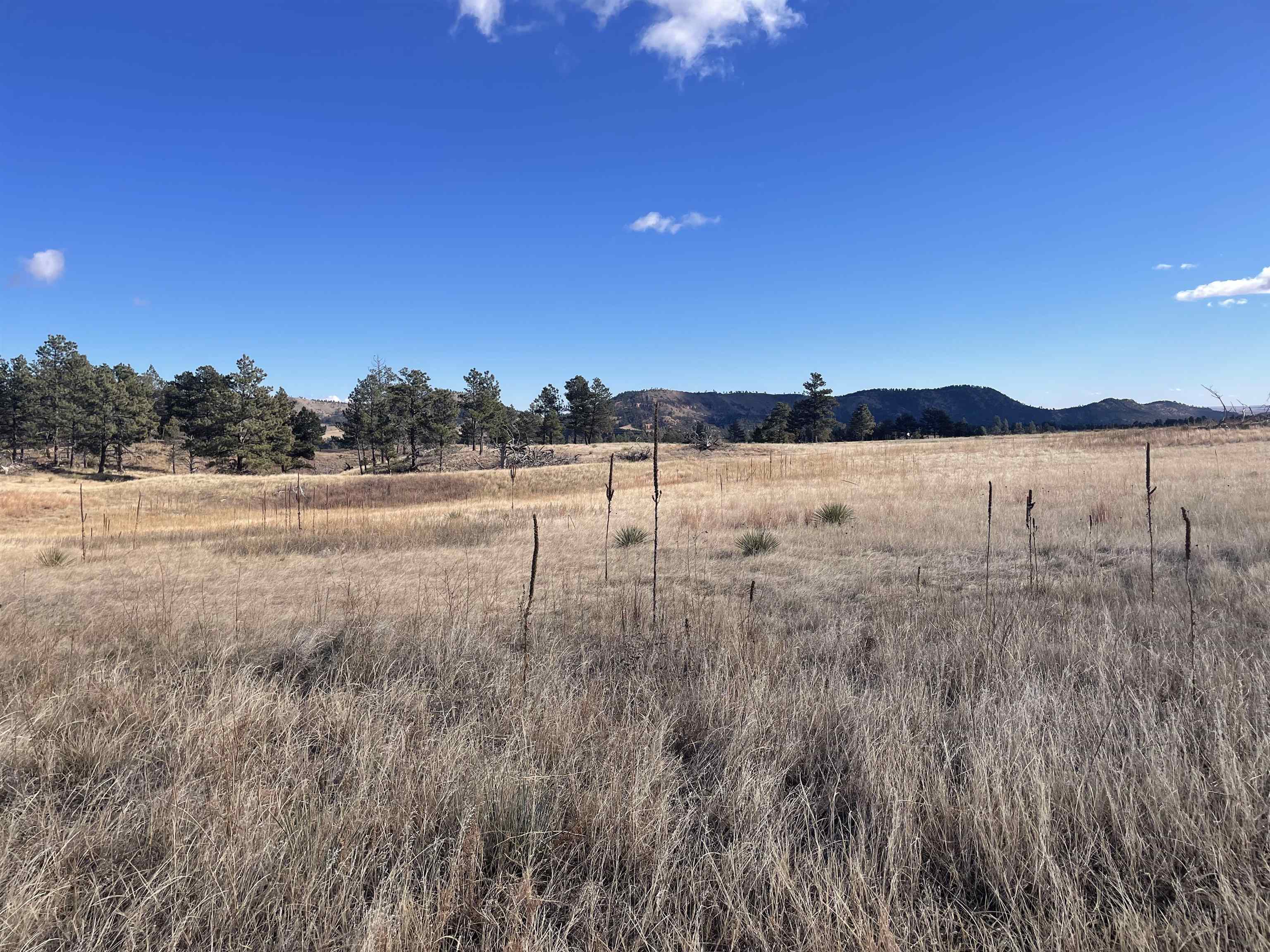 27814 Kitty Hawk Lane