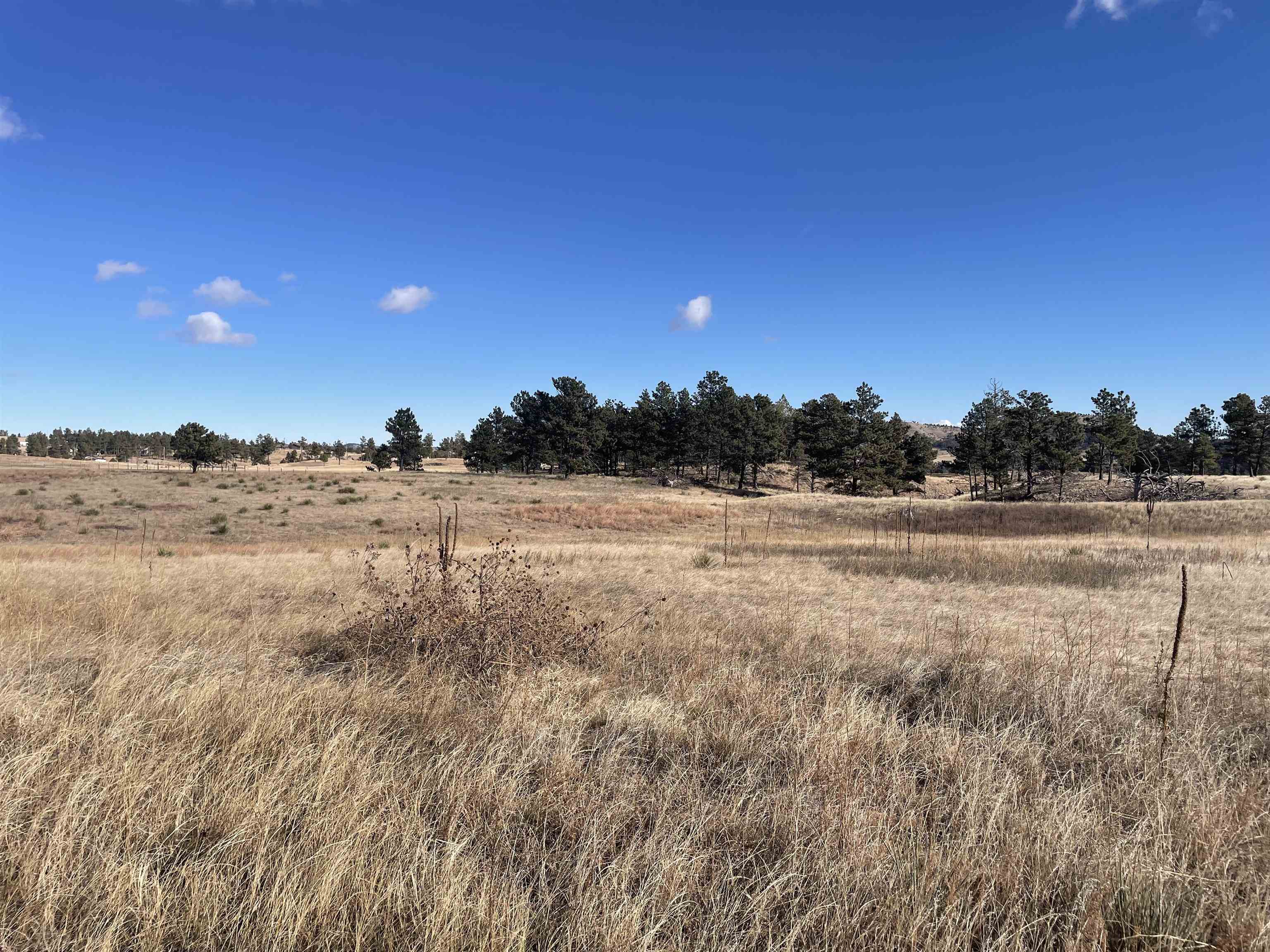 27814 Kitty Hawk Lane