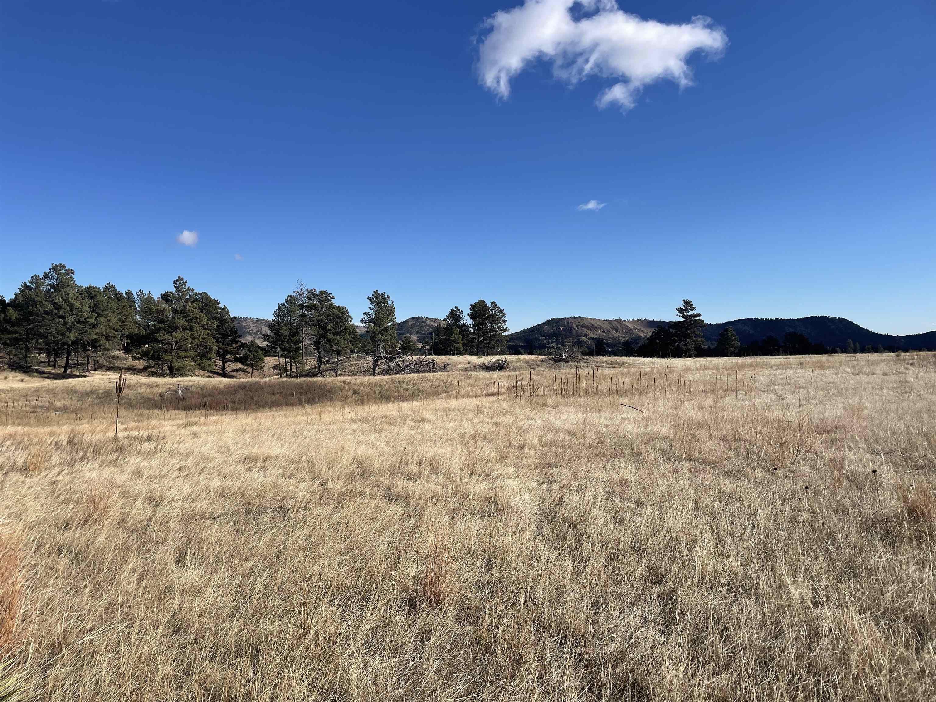 27814 Kitty Hawk Lane