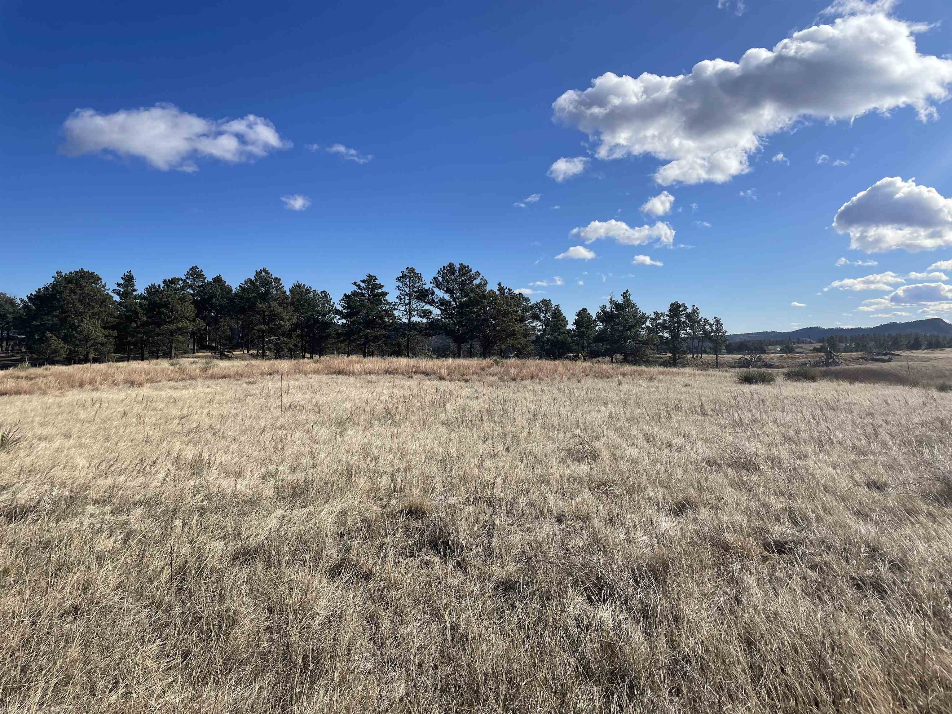 27814 Kitty Hawk Lane