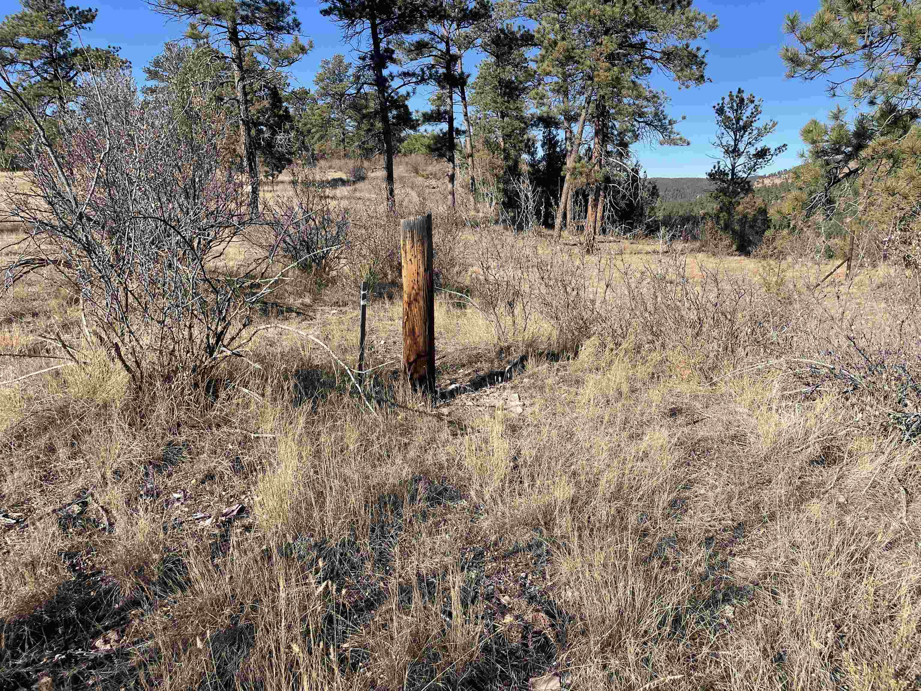 TBD Lots 22-33 Doran Road