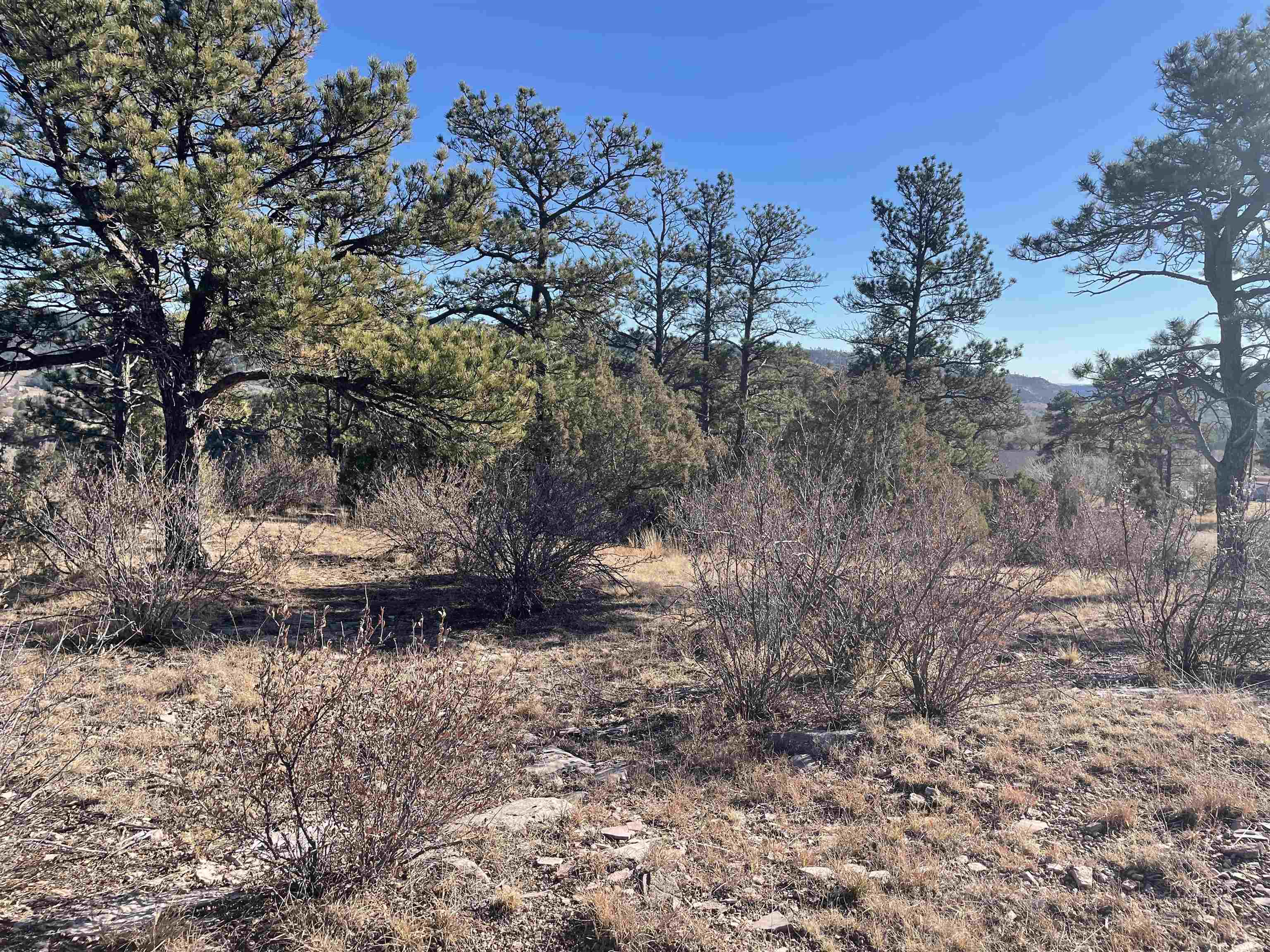 TBD Lots 22-33 Doran Road