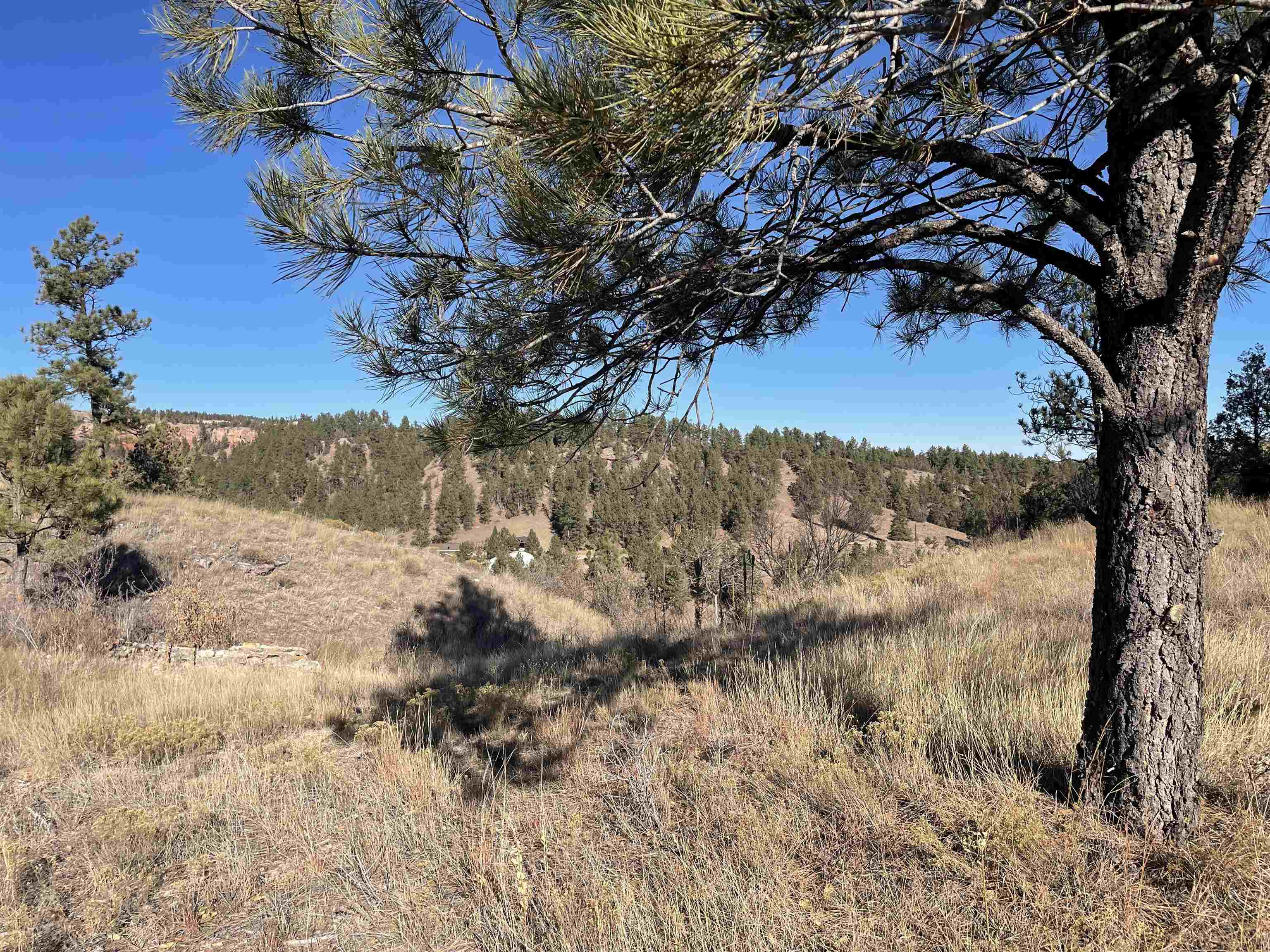 TBD Lots 22-33 Doran Road