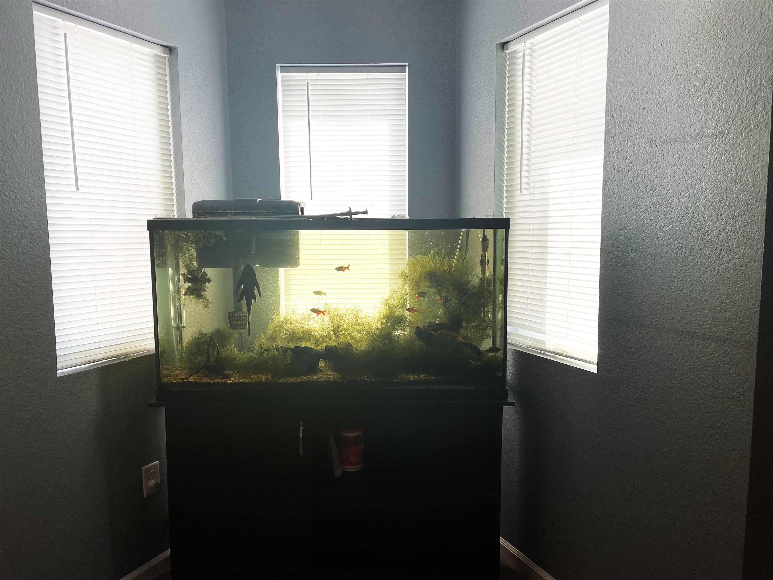 2320 Washington Avenue