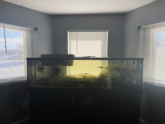 2320 Washington Avenue