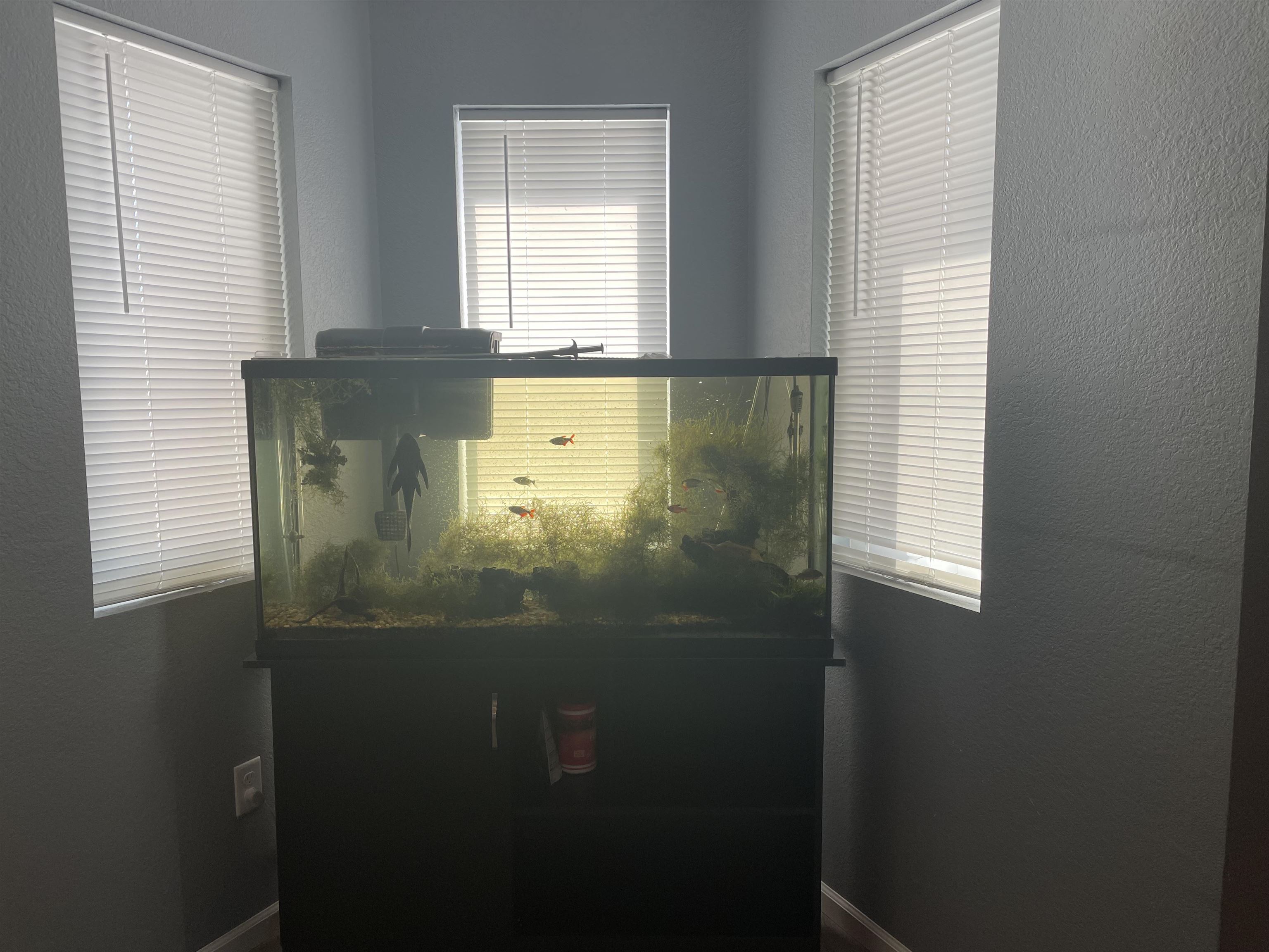 2320 Washington Avenue