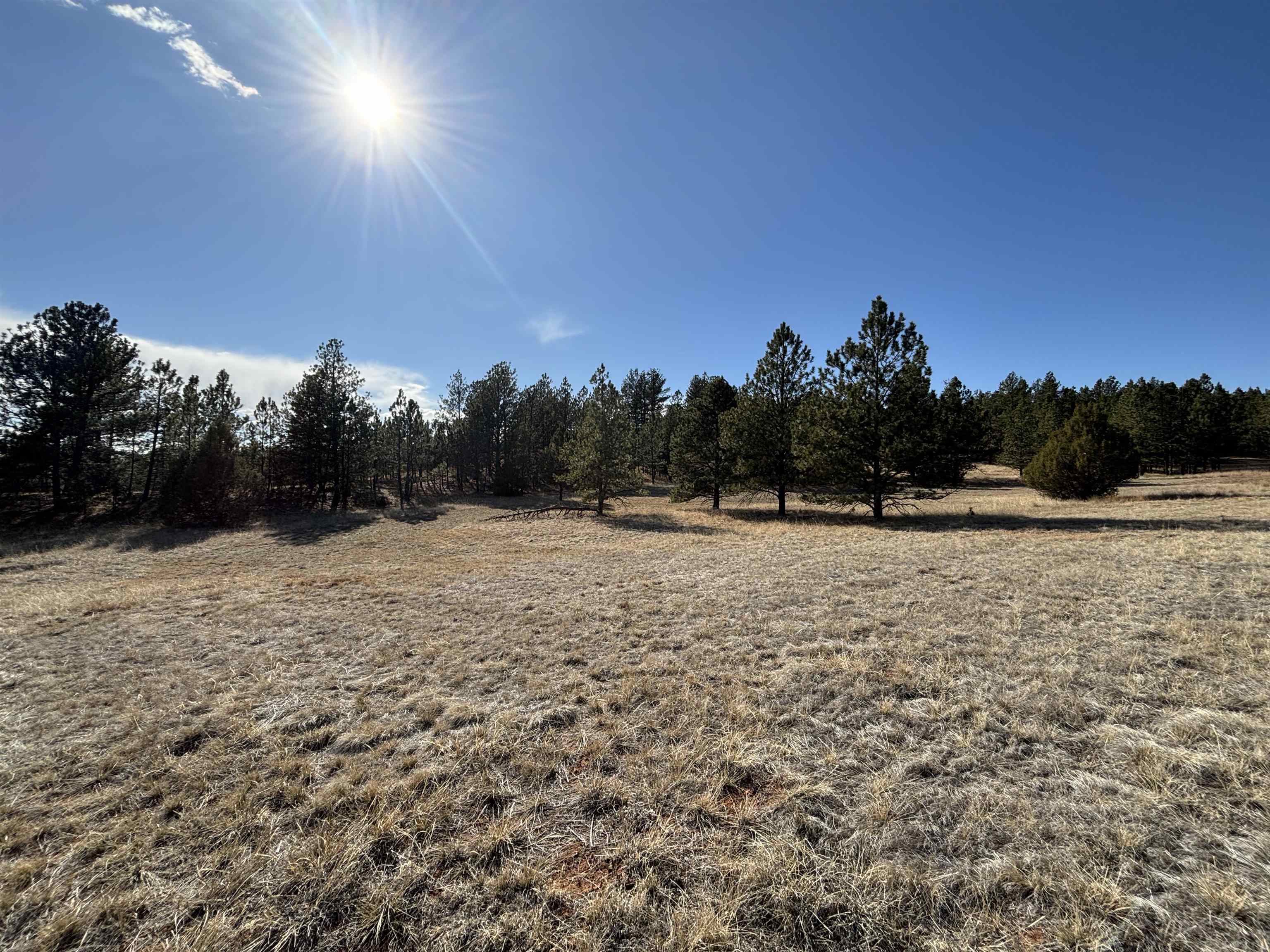 Tract 74 Turkey Trail