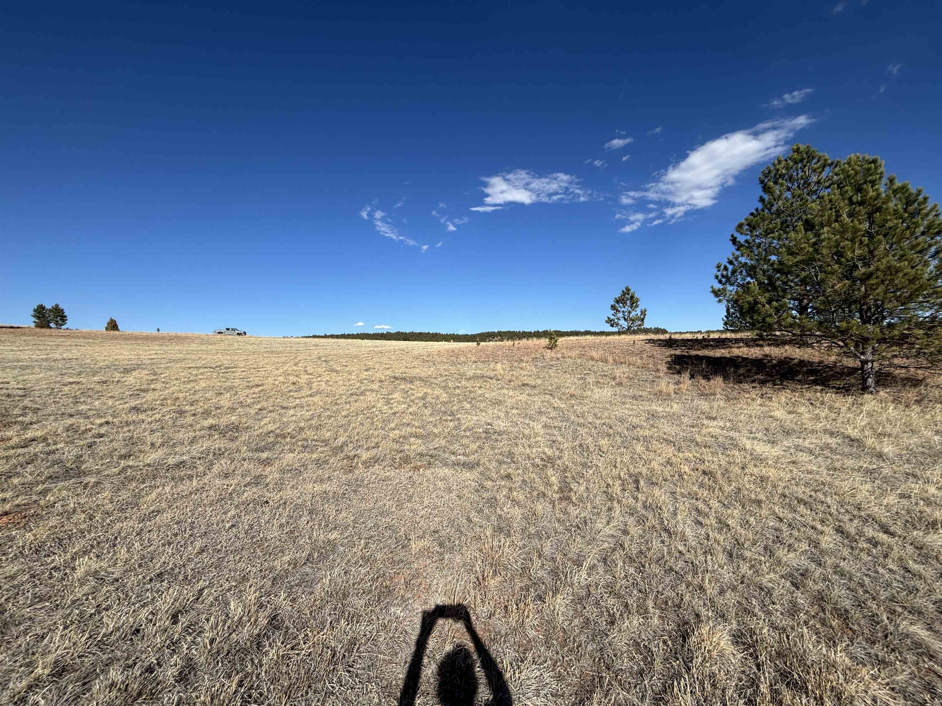 Tract 74 Turkey Trail