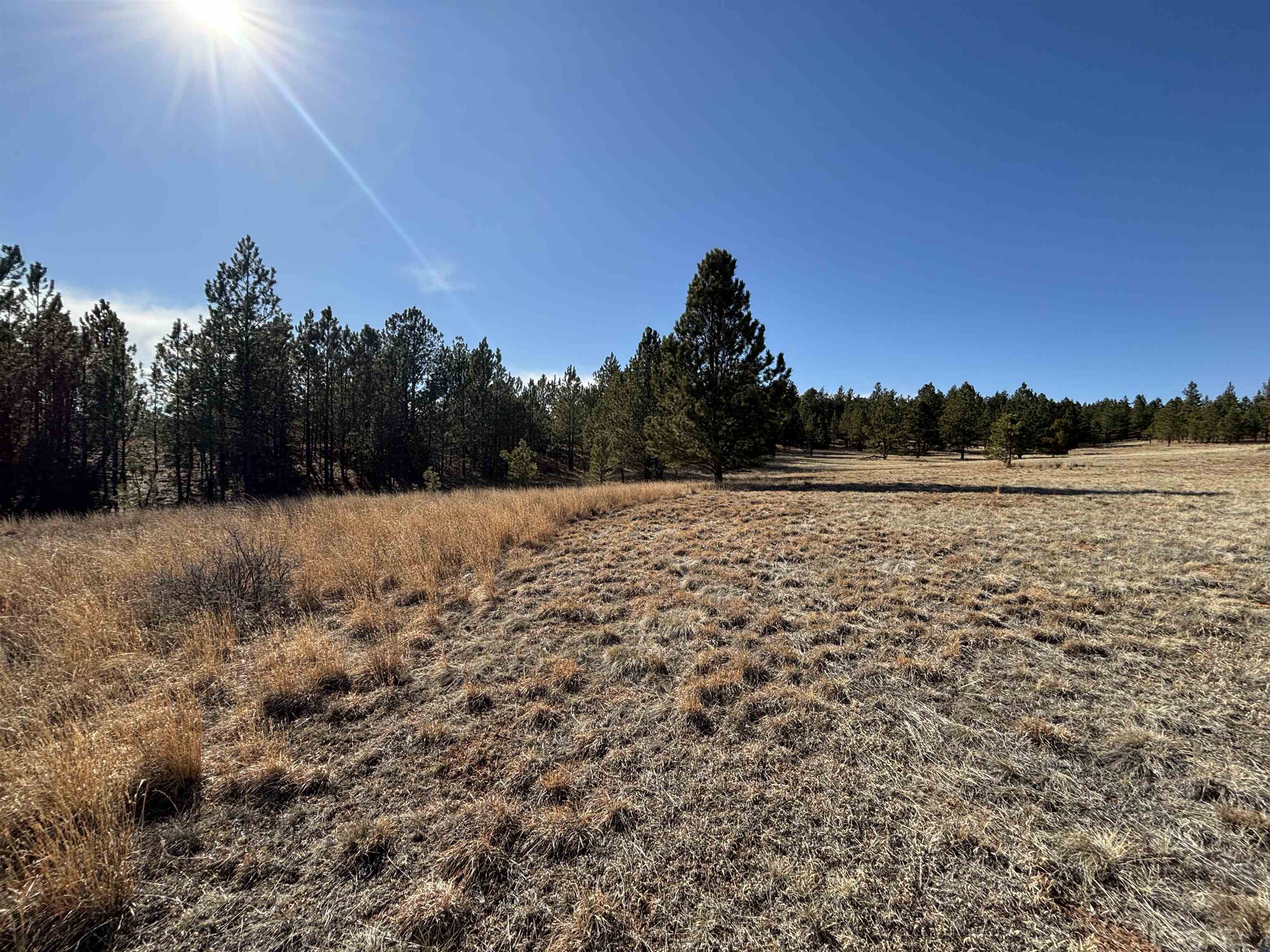 Tract 74 Turkey Trail