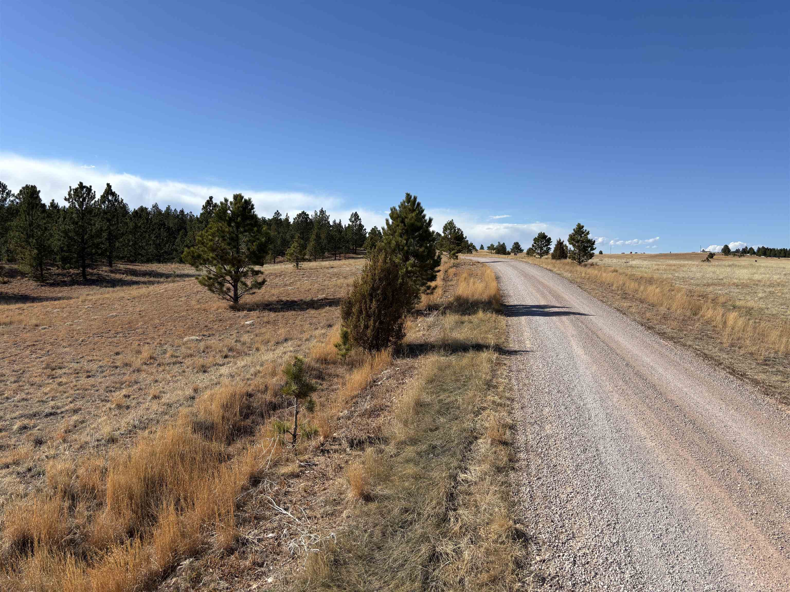 Tract 74 Turkey Trail